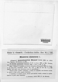 Image Associated With the Occurence